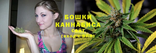 сатива Козельск