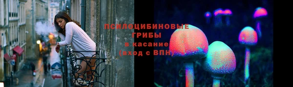 сатива Козельск