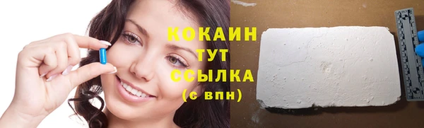 сатива Козловка