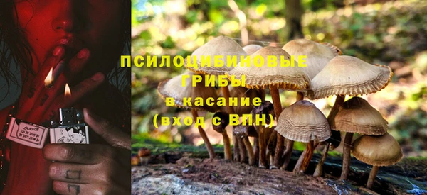 сатива Козельск