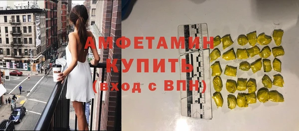 сатива Козельск
