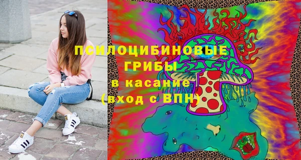 дурь Кодинск