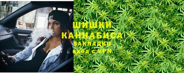сатива Козловка