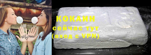 сатива Козловка