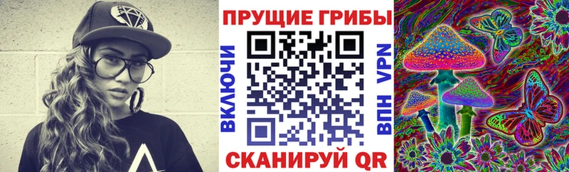 Галлюциногенные грибы GOLDEN TEACHER  Купить где  Меленки 